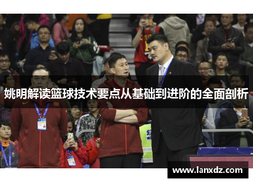 姚明解读篮球技术要点从基础到进阶的全面剖析