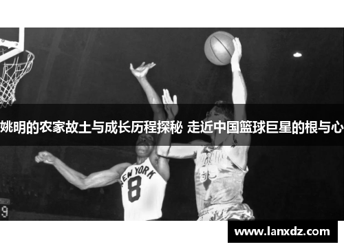 姚明的农家故土与成长历程探秘 走近中国篮球巨星的根与心