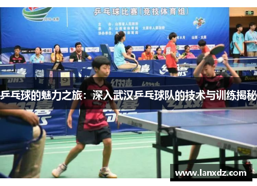 乒乓球的魅力之旅：深入武汉乒乓球队的技术与训练揭秘