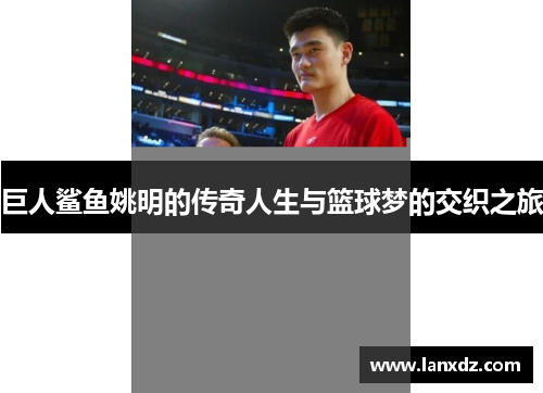 巨人鲨鱼姚明的传奇人生与篮球梦的交织之旅